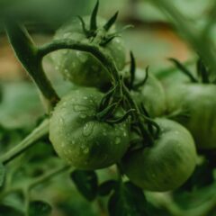 quickandsimplehealth